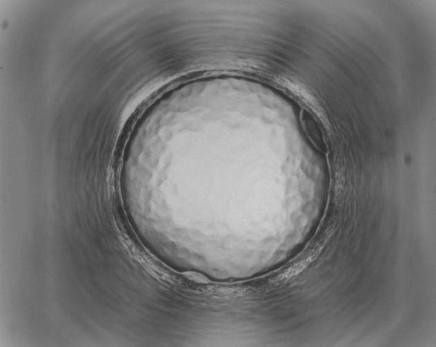 X0000062880928200602031738