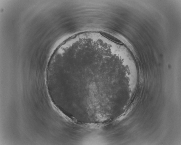 X0000062880958200602031738