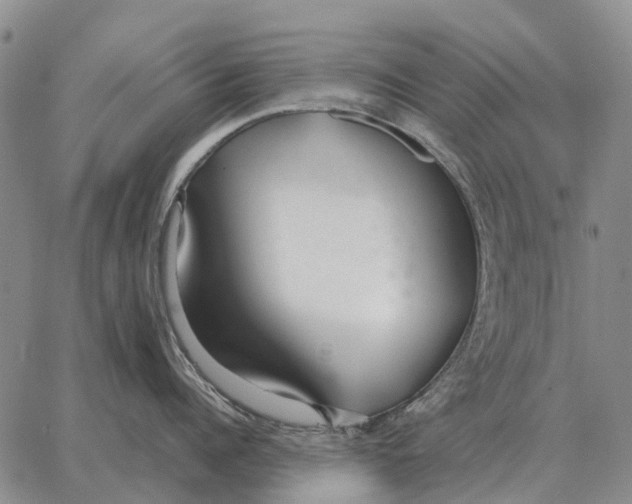 X0000062880960200602031738