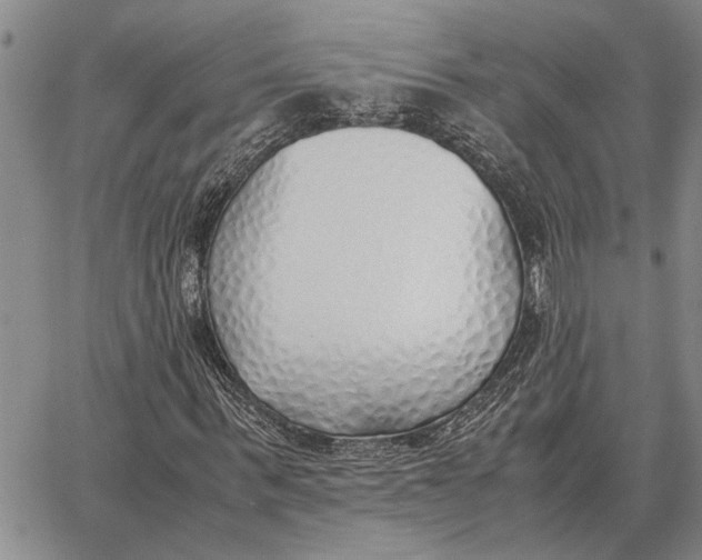 X0000062880963200602031737