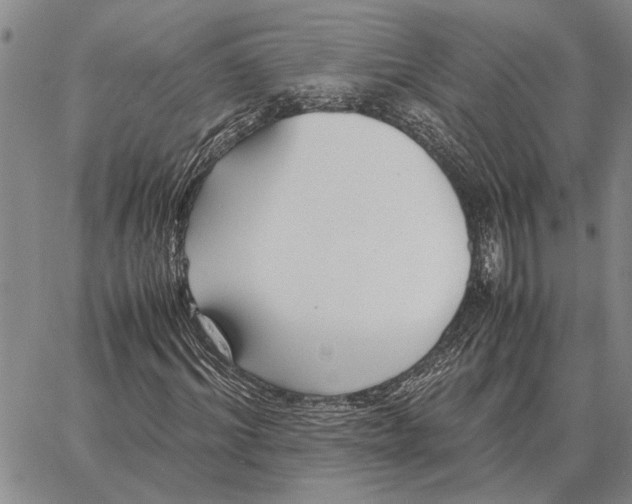 X0000062880964200602031737