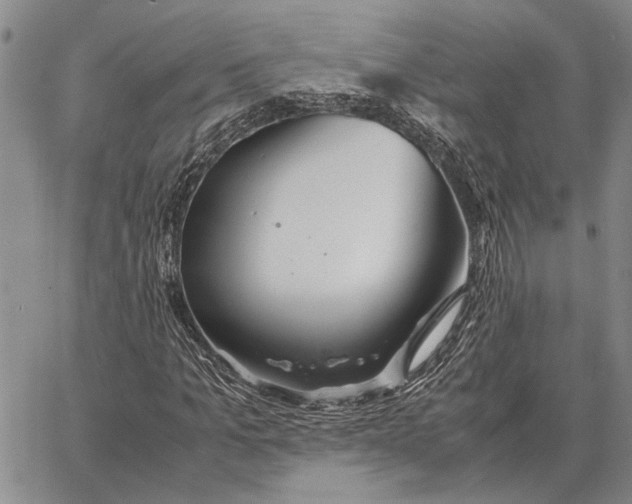 X0000062880965200602031737