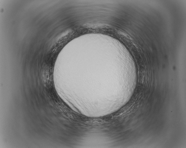 X0000062880966200602031737
