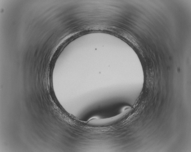 X0000062880984200602031737