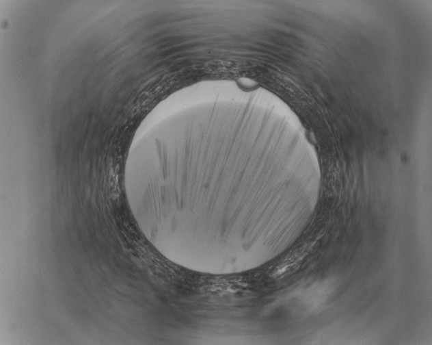 X0000062881013200602031736