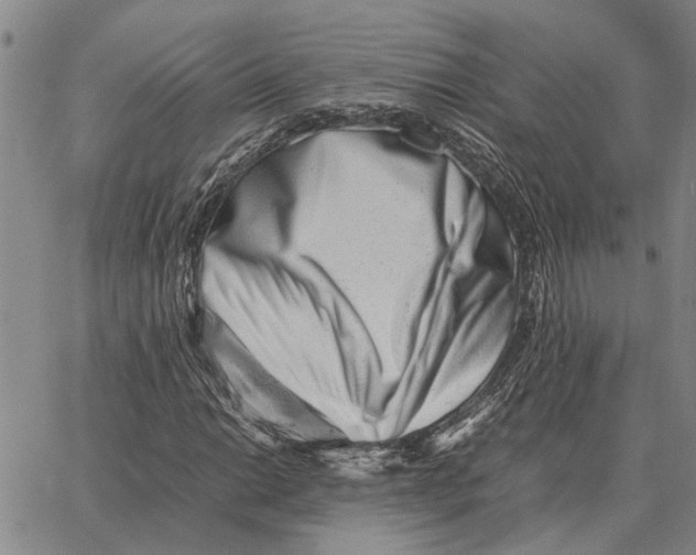X0000062881014200602031736