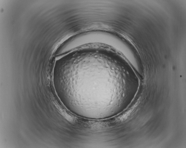 X0000062881018200602031736