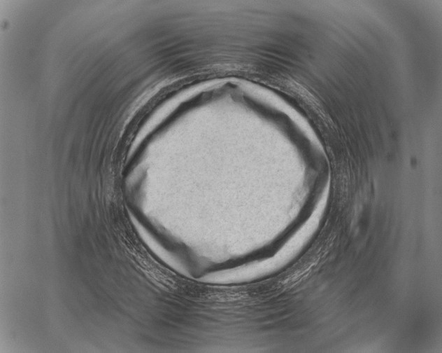 X0000062881023200602031736