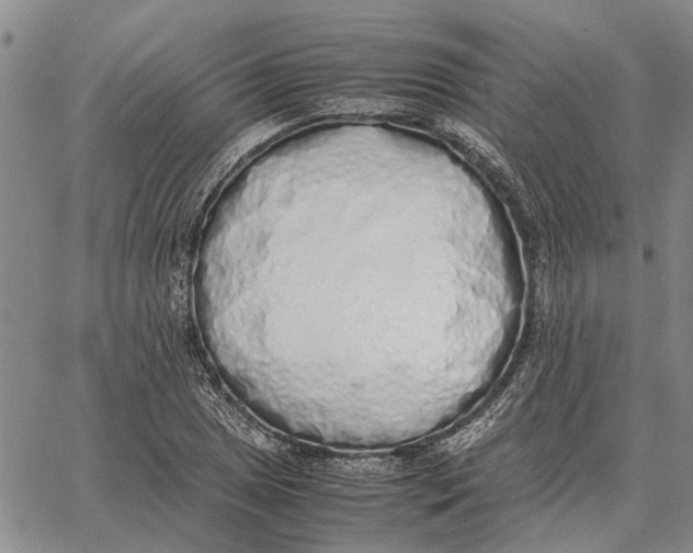 X0000062881025200602031736