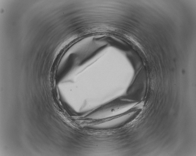 X0000062881026200602031736