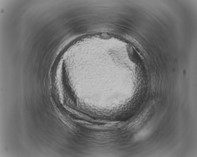 X0000062881031200602031736