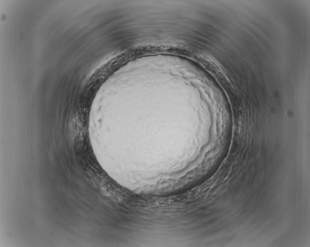 X0000062881064200602031736