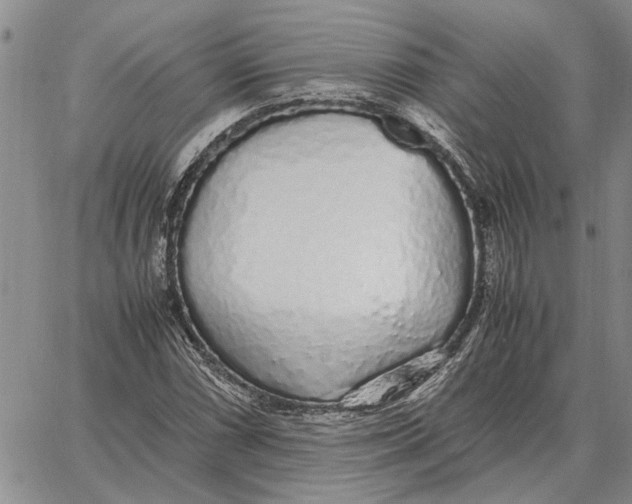 X0000062881066200602031736
