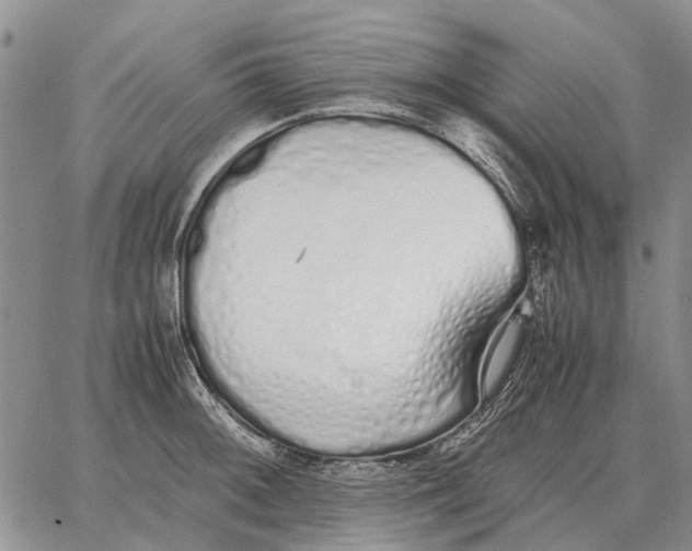 X0000062881092200602031735