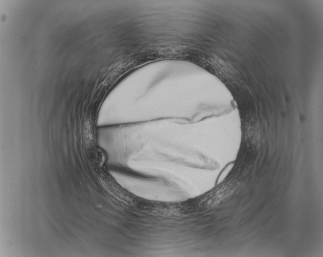 X0000062881106200602031734