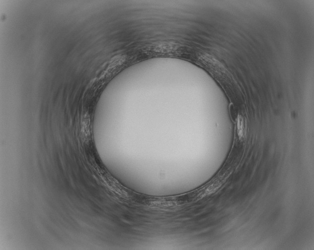 X0000062881107200602031734