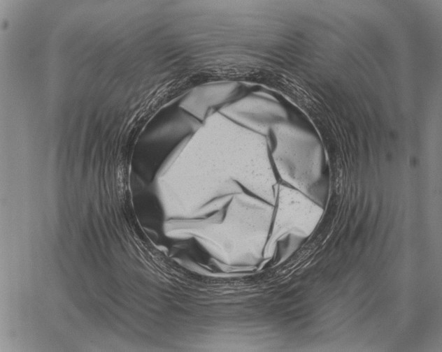 X0000062881108200602031734