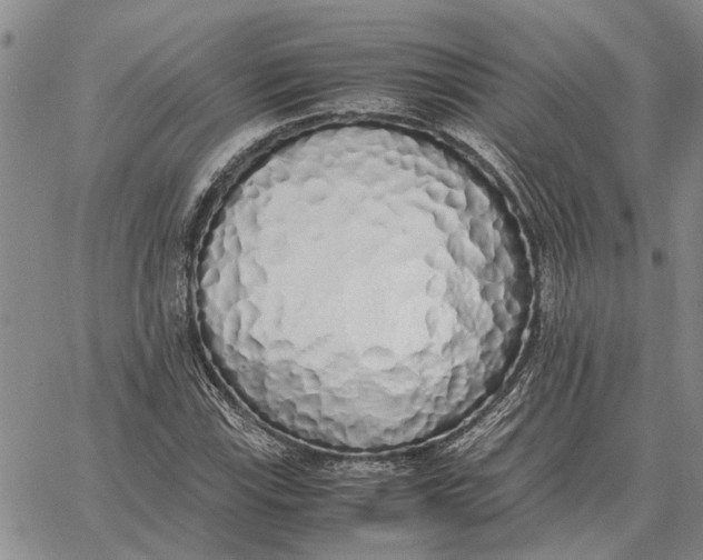 X0000062881115200602031735