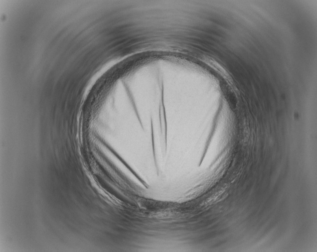 X0000062881128200602031735