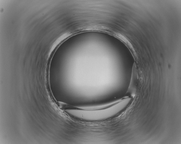 X0000062881138200602031735