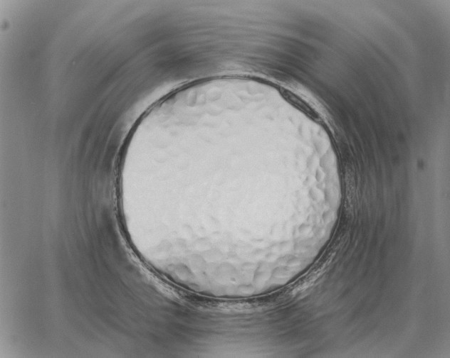 X0000062881142200602031735