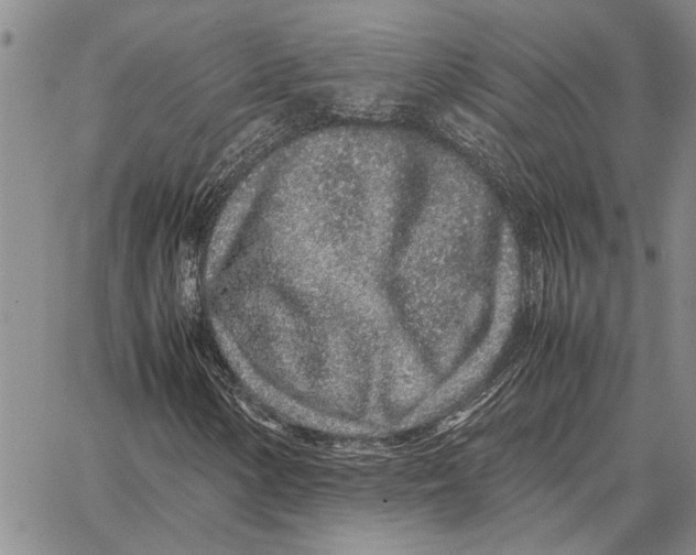 X0000062881154200602031734