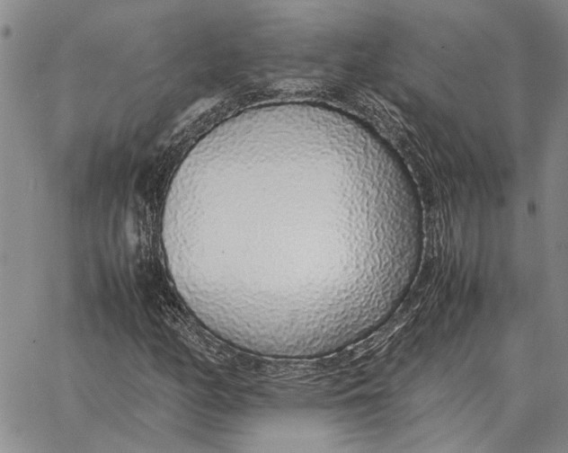 X0000062881158200602031734