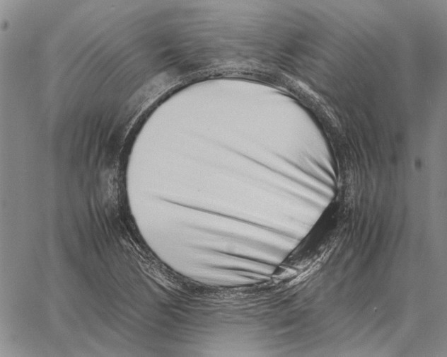 X0000062881170200602031734