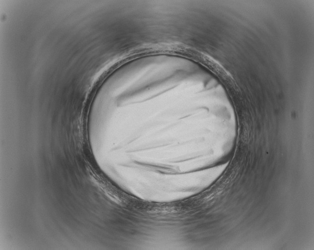 X0000062881174200602031734