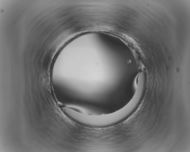 X0000062881184200602031734