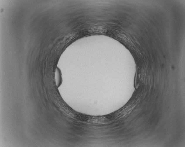 X0000062881201200602031733