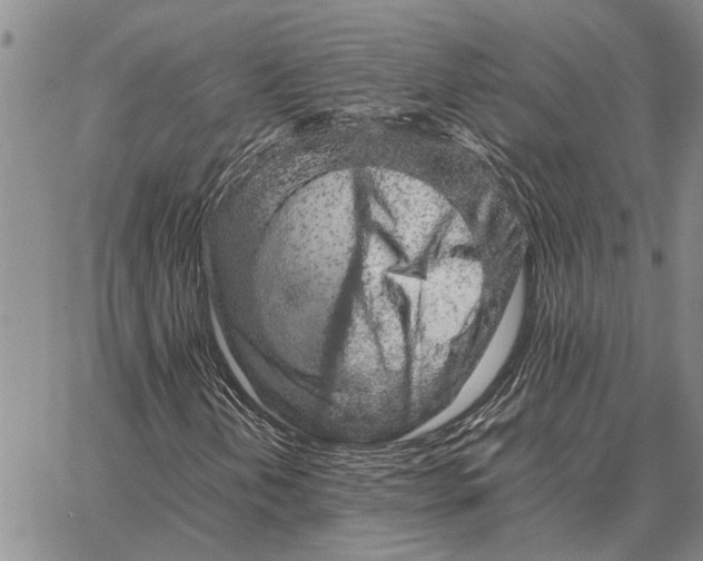 X0000062881202200602031733