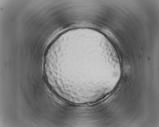 X0000062881228200602031733