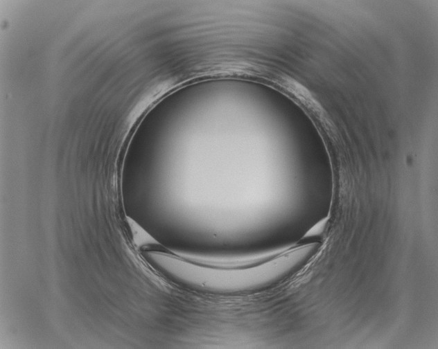 X0000062881234200602031733