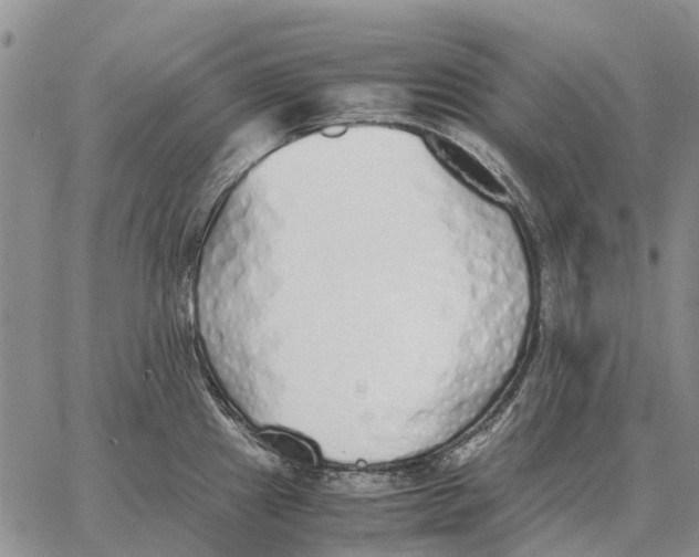 X0000062881241200602031734