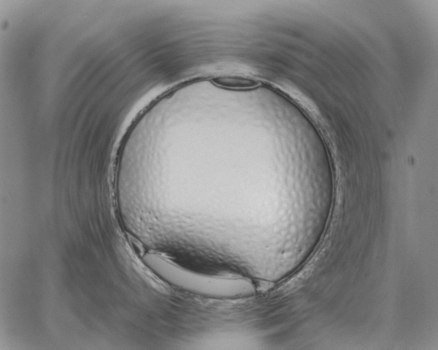 X0000062881248200602031734