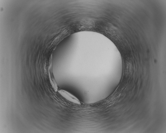 X0000062881250200602031733