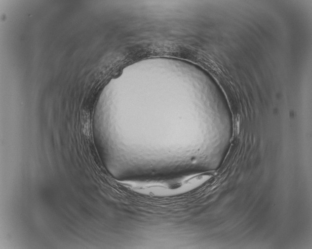 X0000062881251200602031733