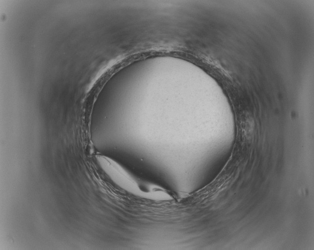 X0000062881256200602031733