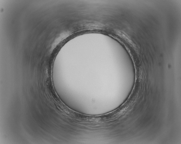X0000062881261200602031733