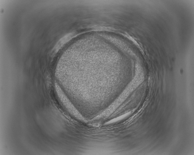X0000062881263200602031733