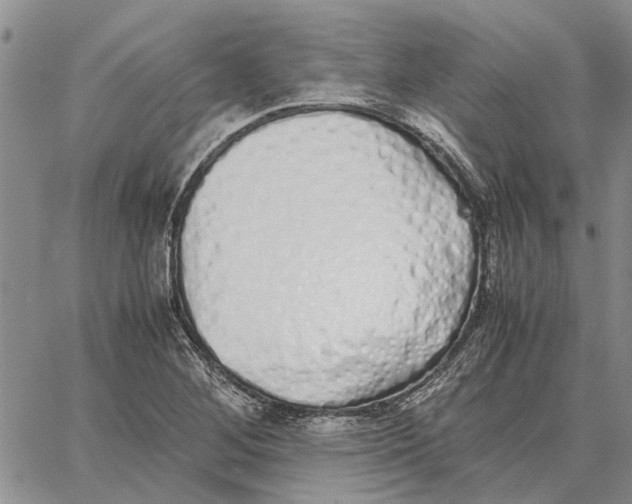 X0000062881268200602031733