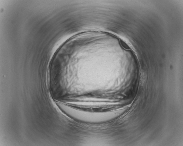 X0000062881295200602031732