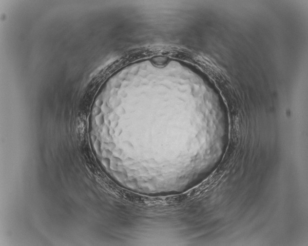 X0000062881302200602031731