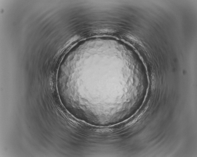 X0000062881305200602031731