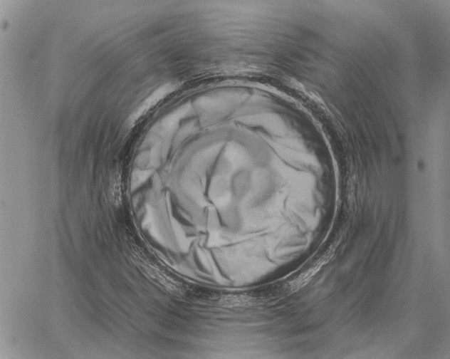 X0000062881306200602031731