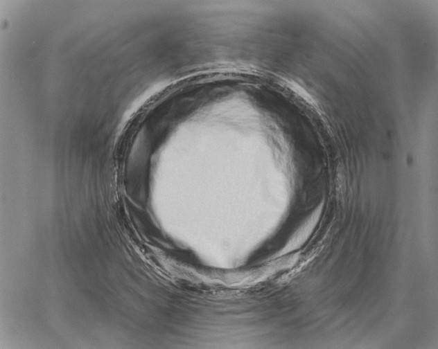 X0000062881310200602031732