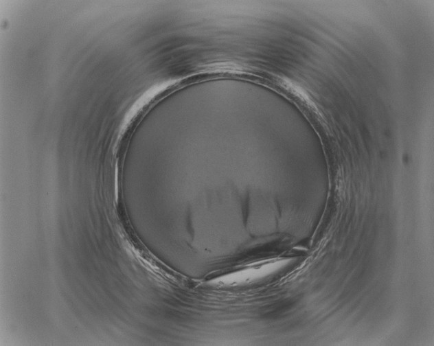 X0000062881323200602031732
