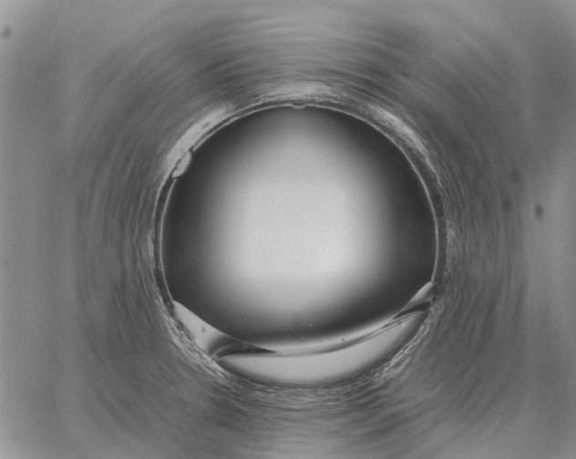 X0000062881330200602031732