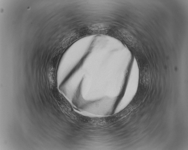 X0000062881346200602031731